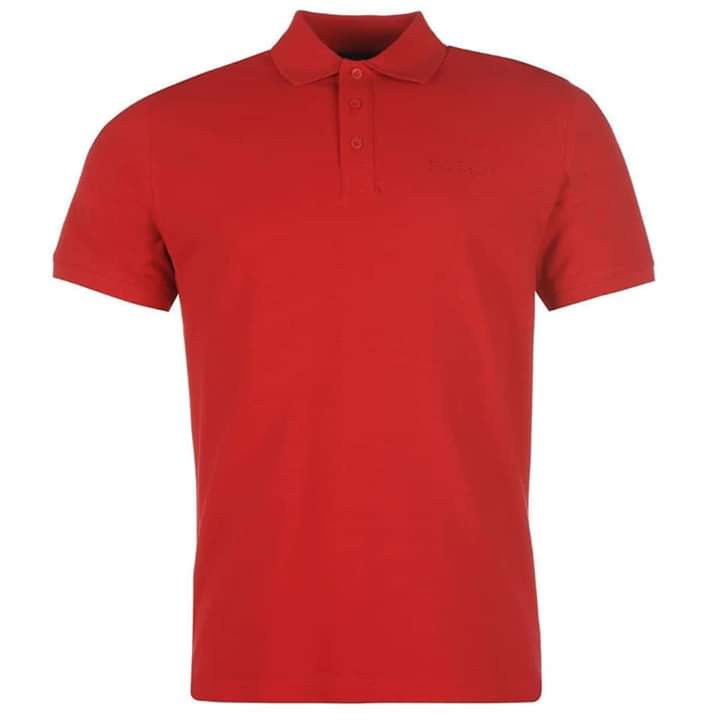 Polo Vierge — photo 2