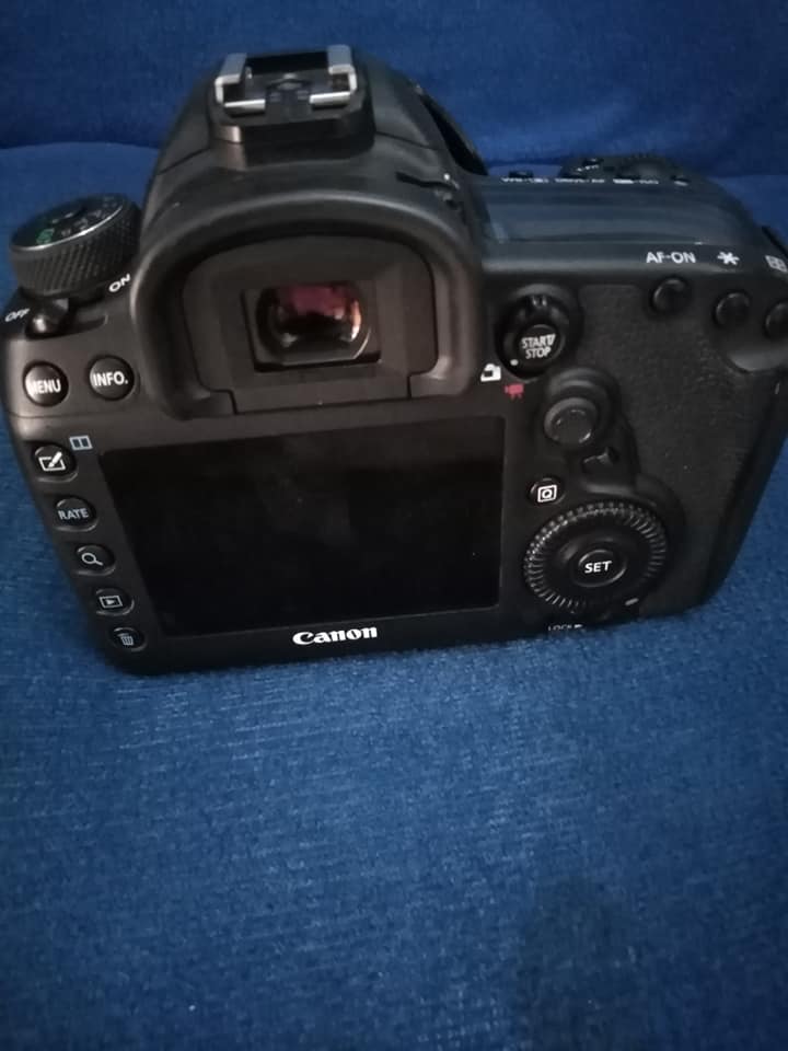 Canon 5D MARK4 Avec Objectif — photo 3