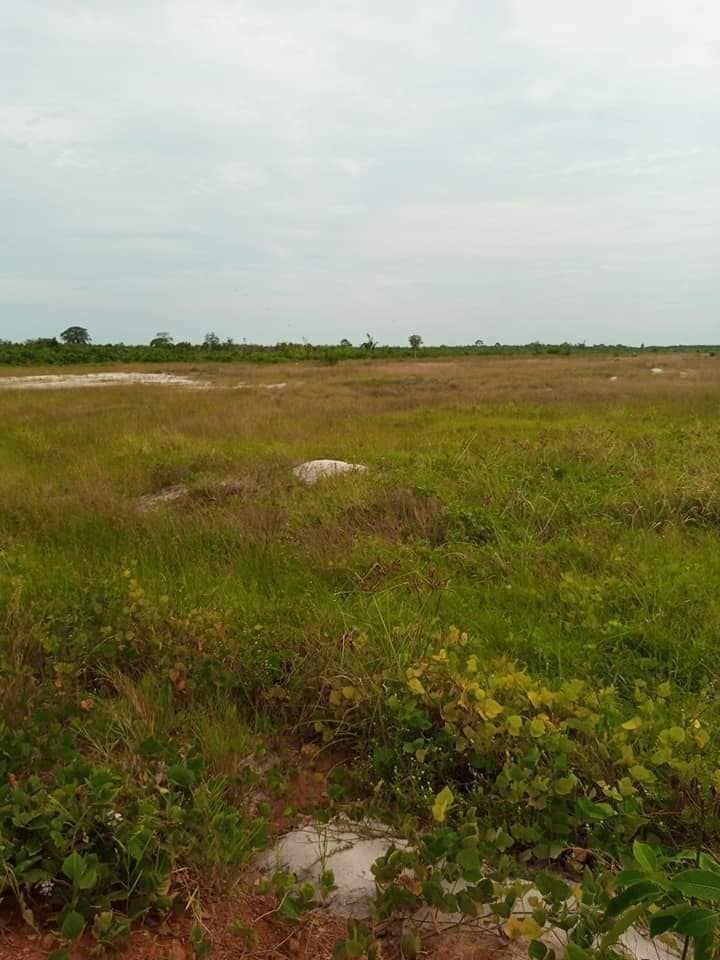 Terrain de 13 hectares — photo 3