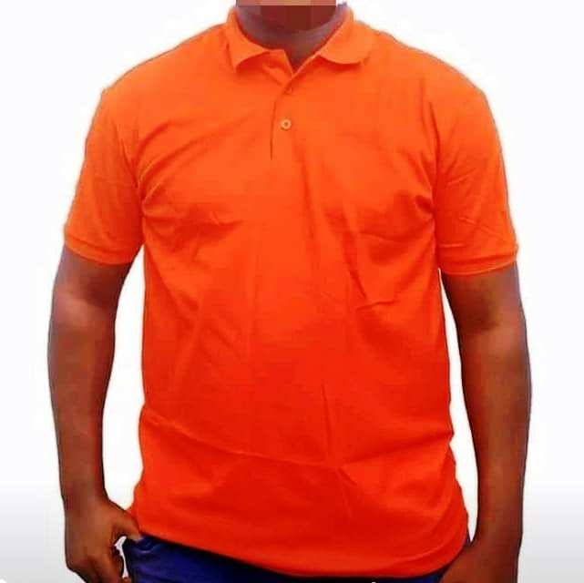 Polo Vierge Importé