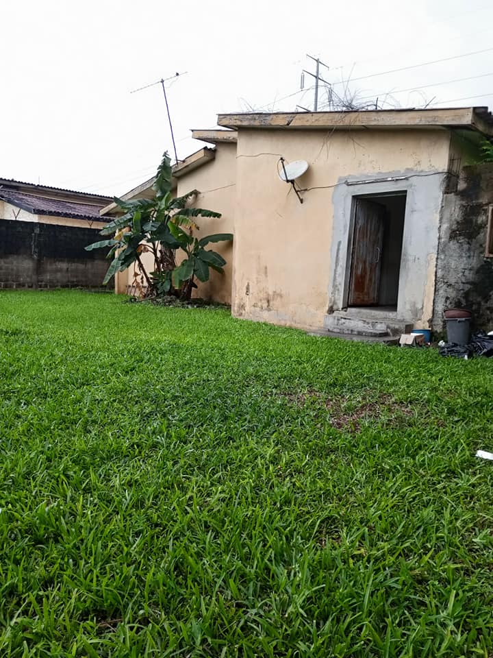 Villa Basse 5 Pièces — photo 2