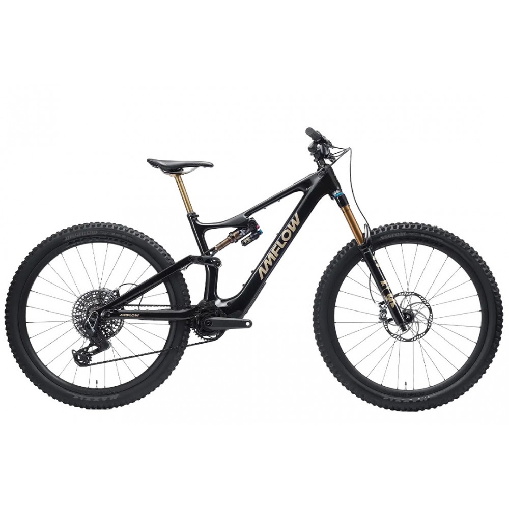 2026 Amflow PL Carbon Pro Electric Mountain Bike (PIENARBIKESHOP)