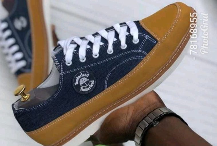 Timberland Basse