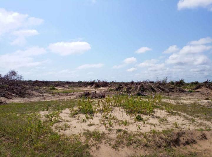 Terrain en vente à la baie des Milliardaires  500 m²