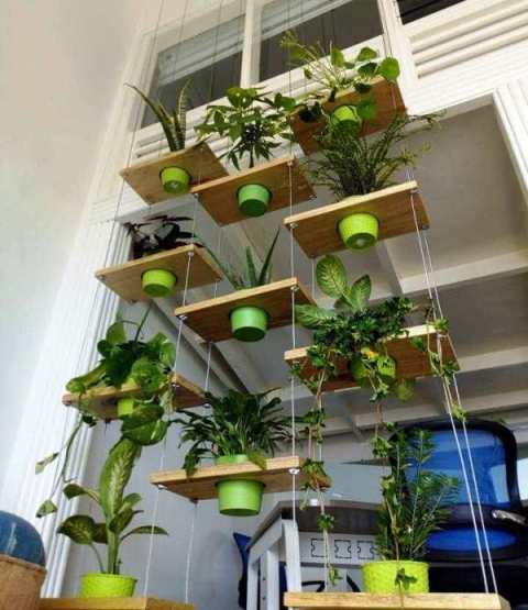 Paysagiste Décorateur — photo 3