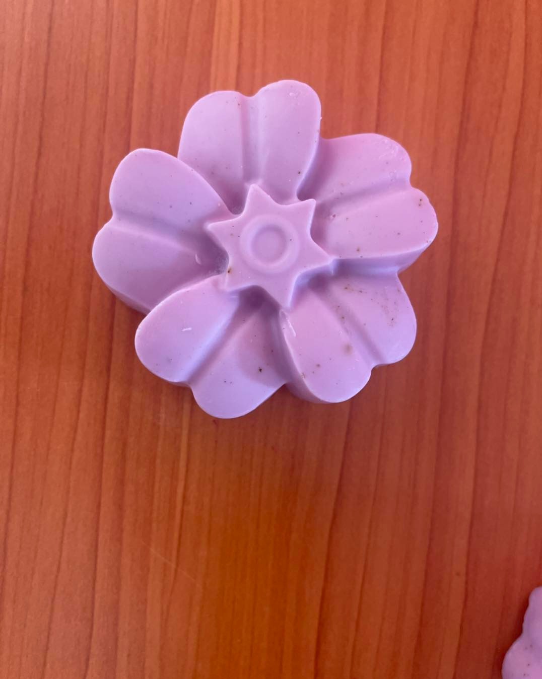 Formation en Cosmétique — photo 6