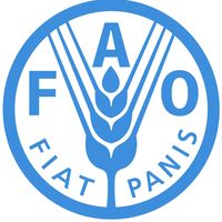 RECRUTEMENT FAO CANADA : Offre n° 0049/FAO/CA-CIC-2023/2024