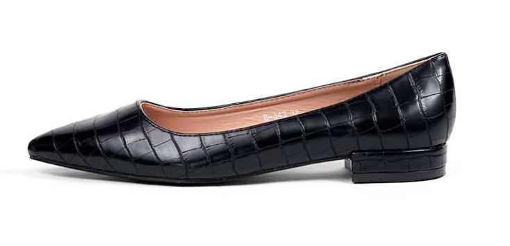 Ballerines Pointues — photo 11