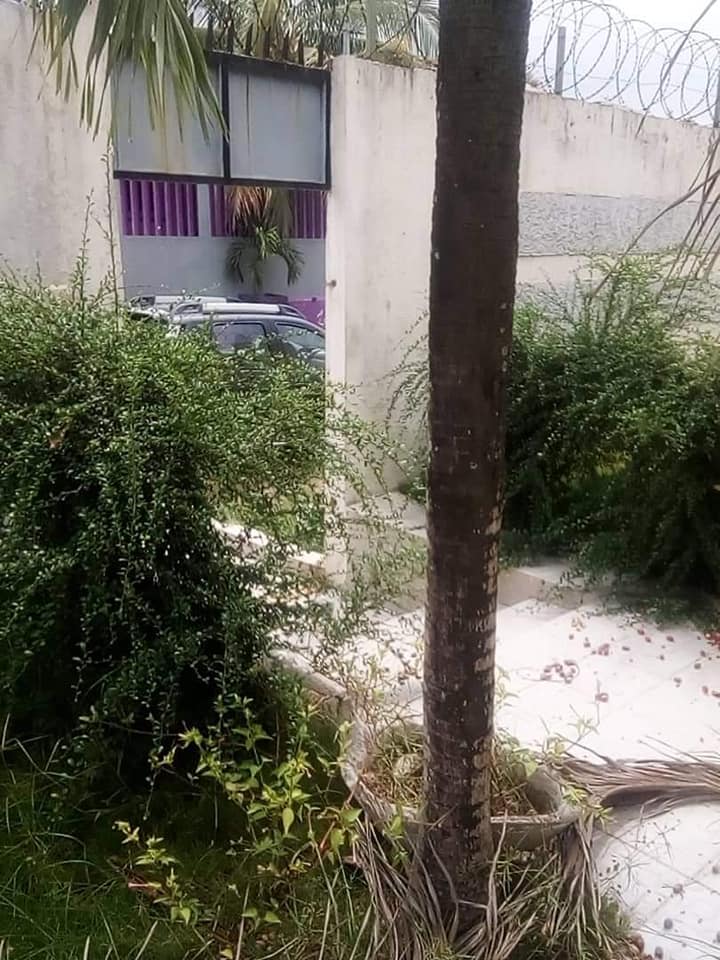 Villa basse de 4 pièces — photo 3
