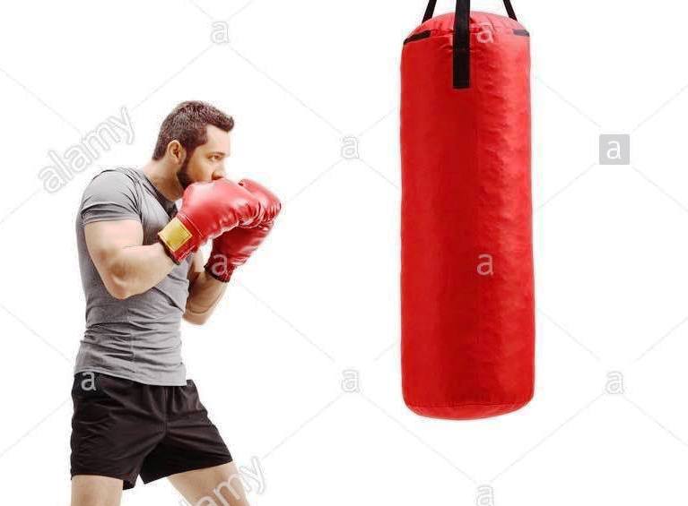 Sacs de Boxe Adulte 50 Kg — photo 2