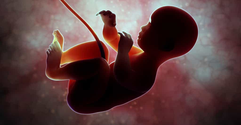 AVOIR UN BEBE