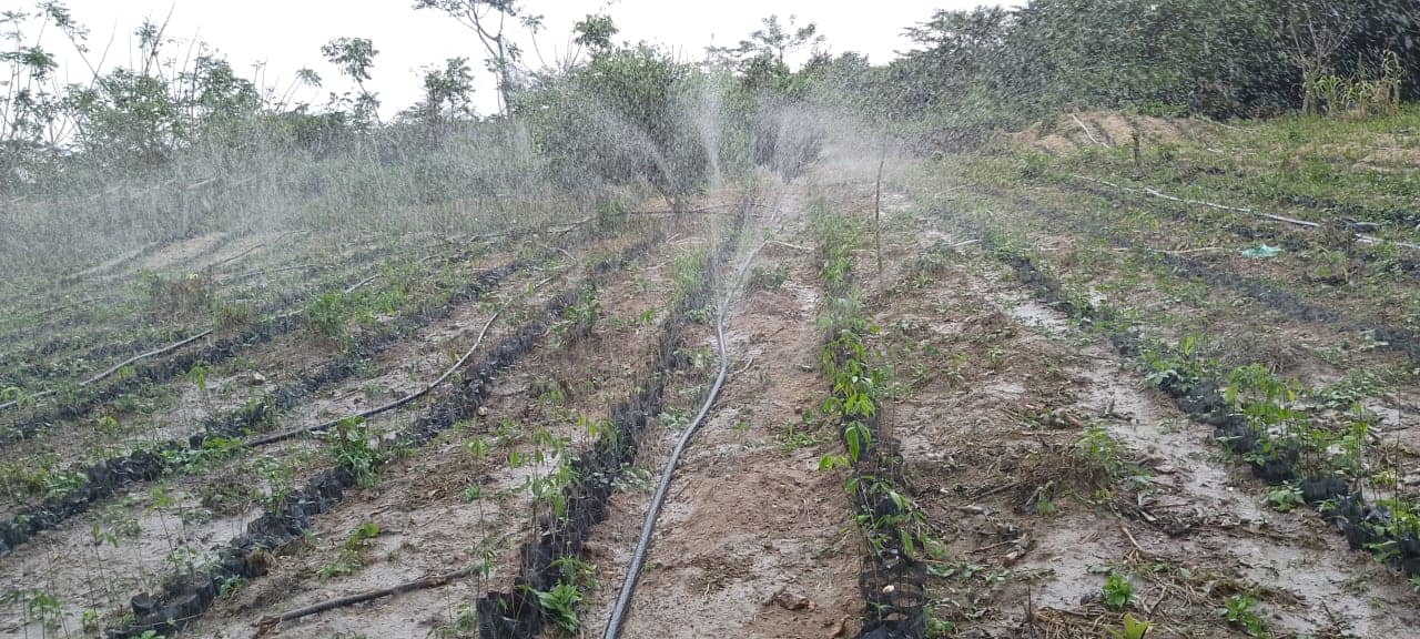 Système d'irrigation LASER SPRAY — photo 2