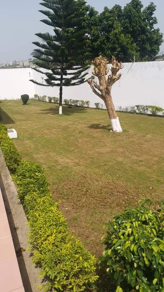 Villa basse haut standing — photo 10