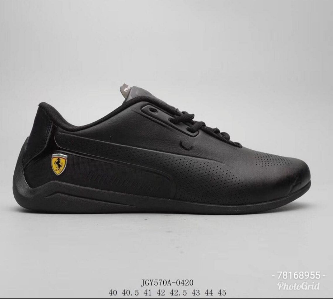 Puma — photo 8