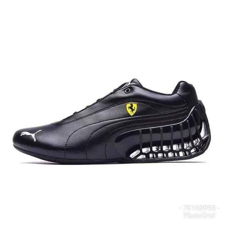 Puma — photo 6