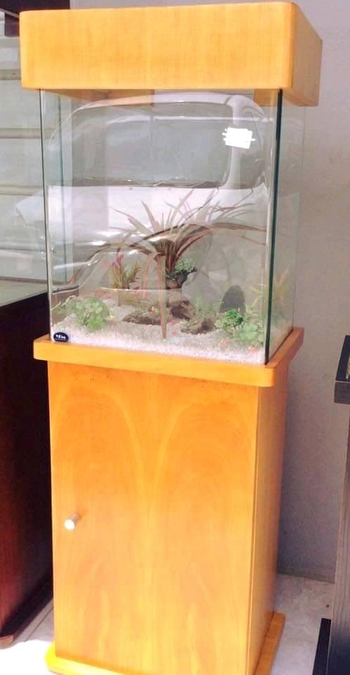 Confection d’Aquatique Sur Mesure — photo 4