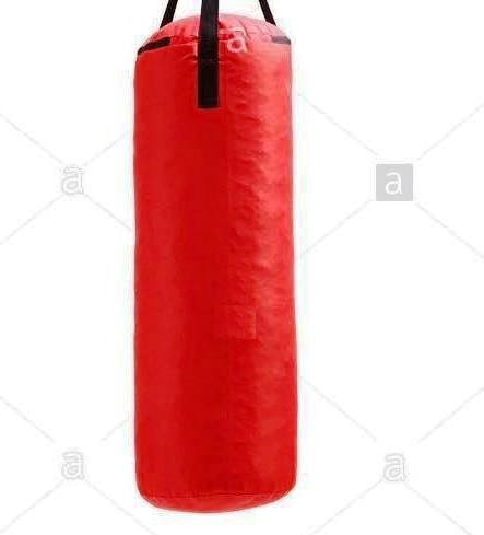 Sacs de Boxe Adulte 50 Kg