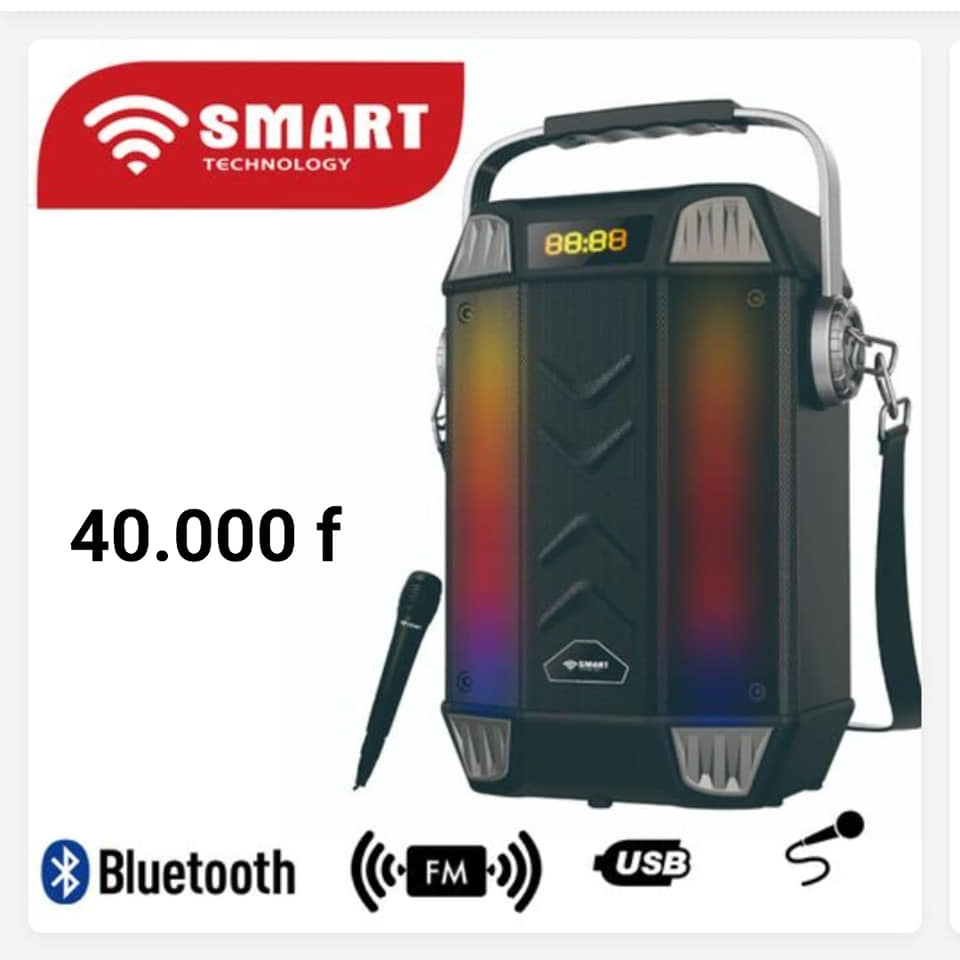 Haut Parleur Bluetooth Portable - STH-225 — photo 2