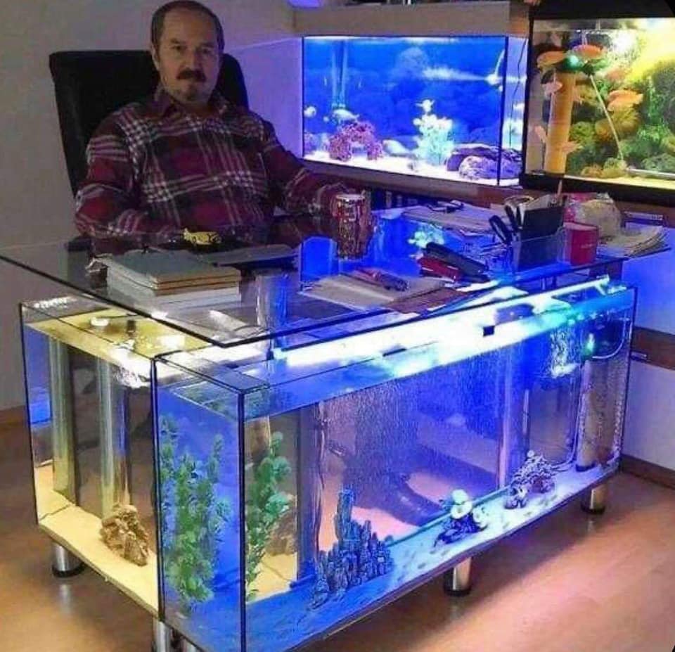 Confection d'Aquarium sur mesure — photo 4