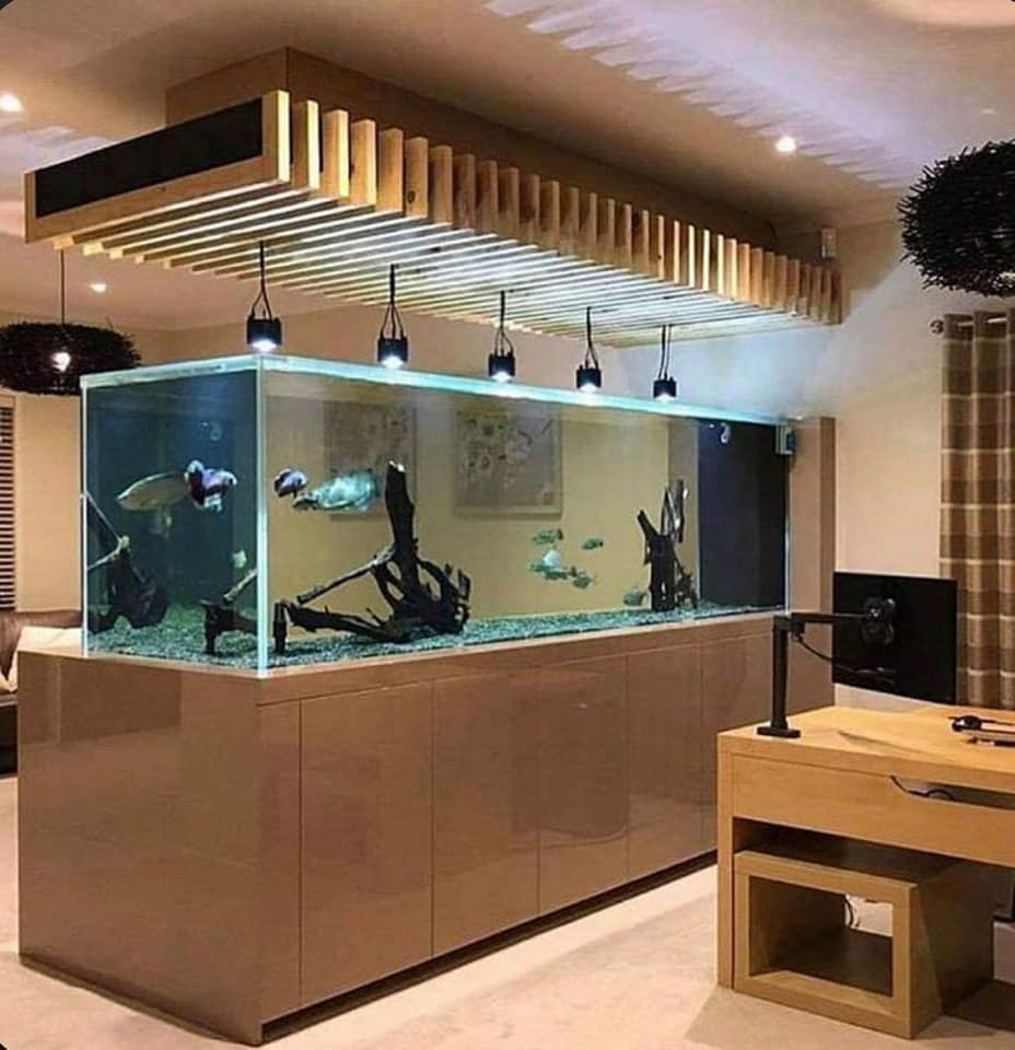 Confection d'Aquarium sur mesure