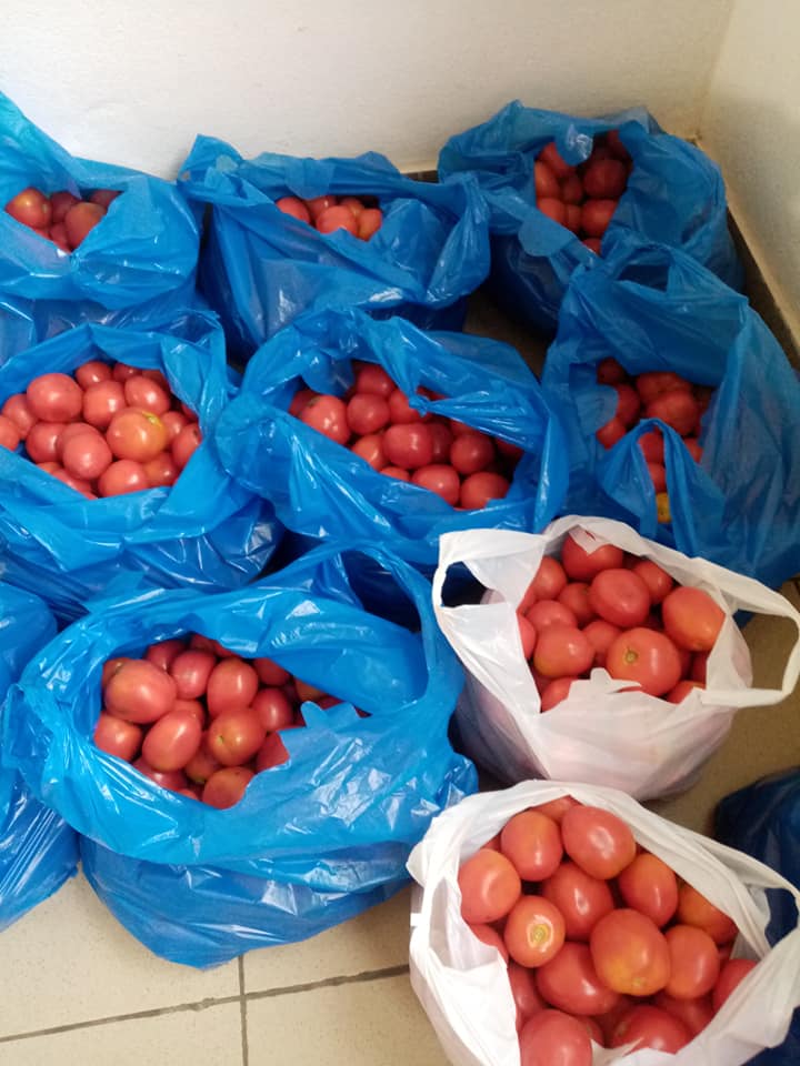 Tomates Ferme de Qualité — photo 6
