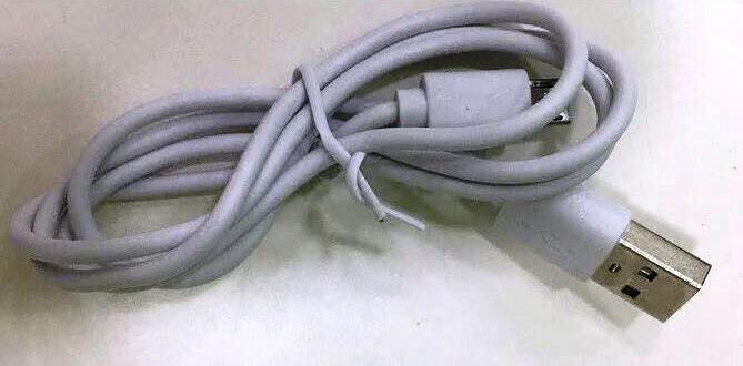 Lampe de Bureau Rechargeable — photo 13