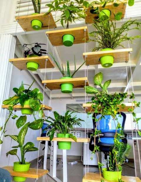 Paysagiste Décorateur