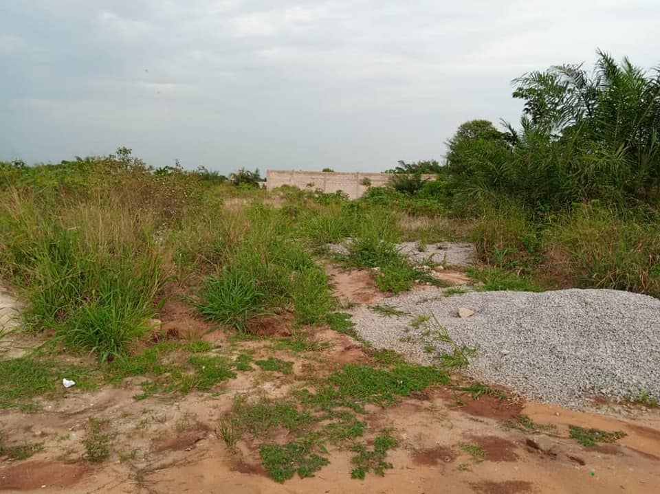 Terrains à vendre à Abatta — photo 3