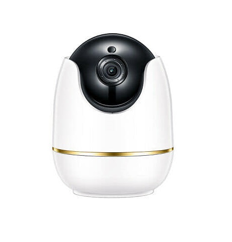 Caméra de Sécurité Weber Protect