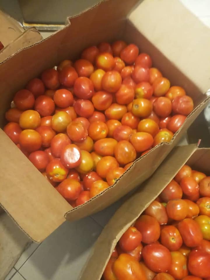 Tomates Ferme de Qualité — photo 7