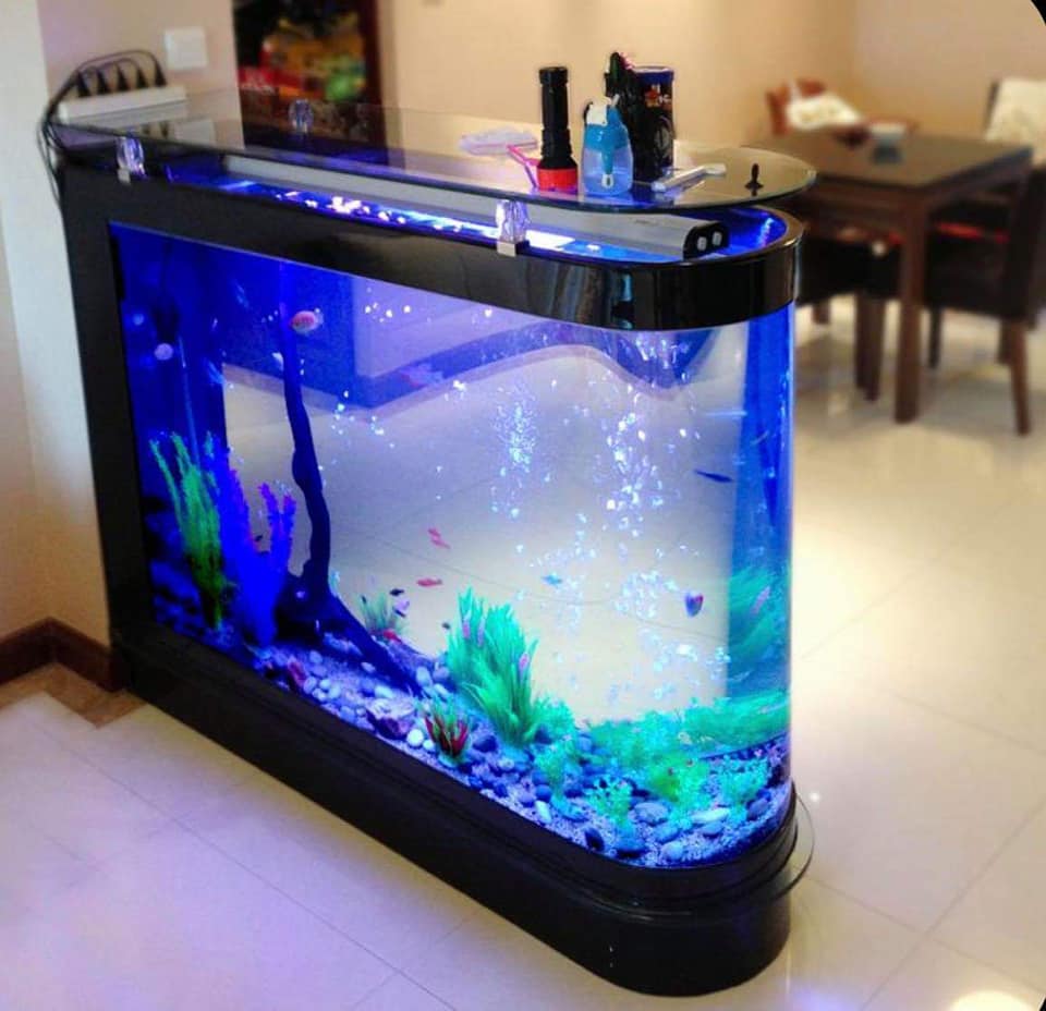 Confection d'Aquarium sur mesure — photo 2
