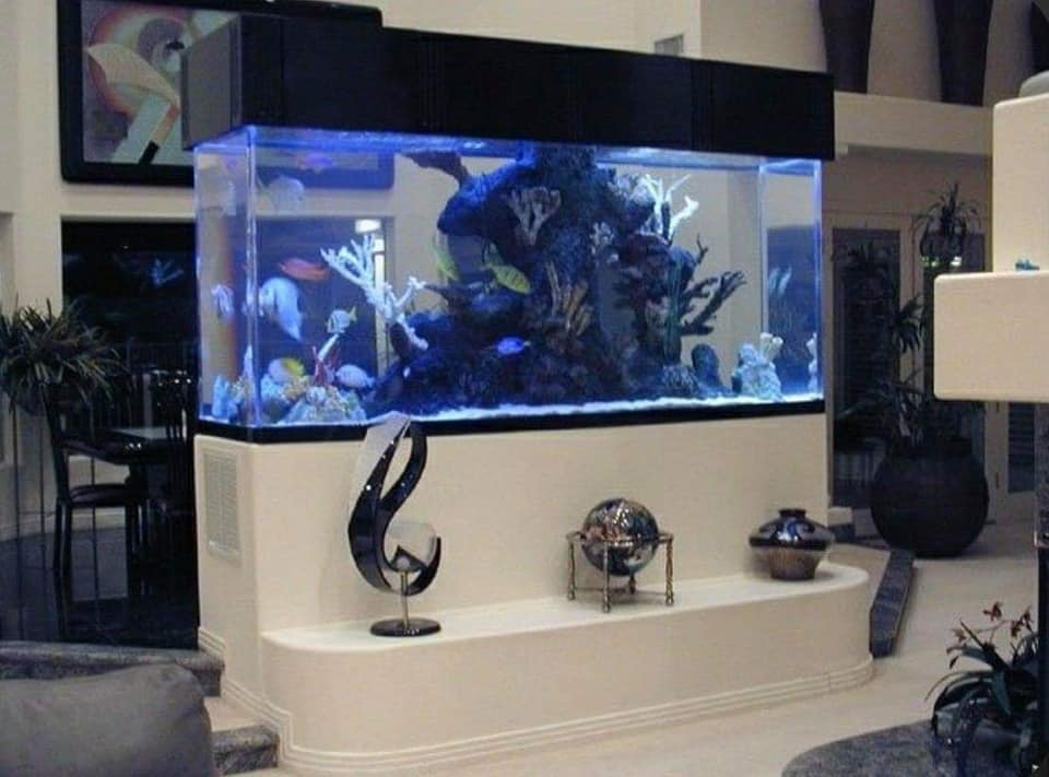Confection d'Aquarium sur mesure — photo 5
