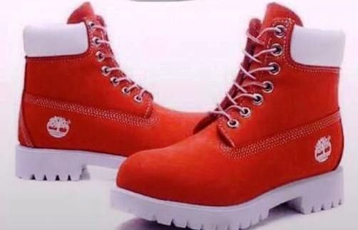 Timberland Montante — photo 5