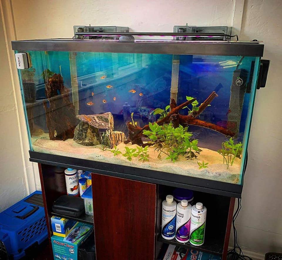 Confection d'Aquarium sur mesure — photo 3