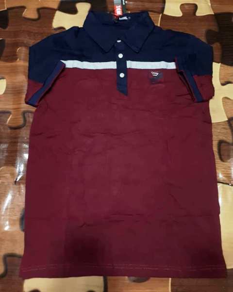 Polo de Qualités — photo 8