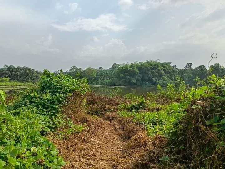 TERRAIN A VENDRE AZAGUIE-N'BROME