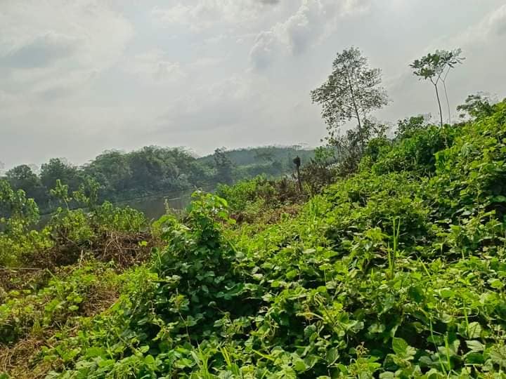TERRAIN A VENDRE AZAGUIE-N'BROME — photo 3
