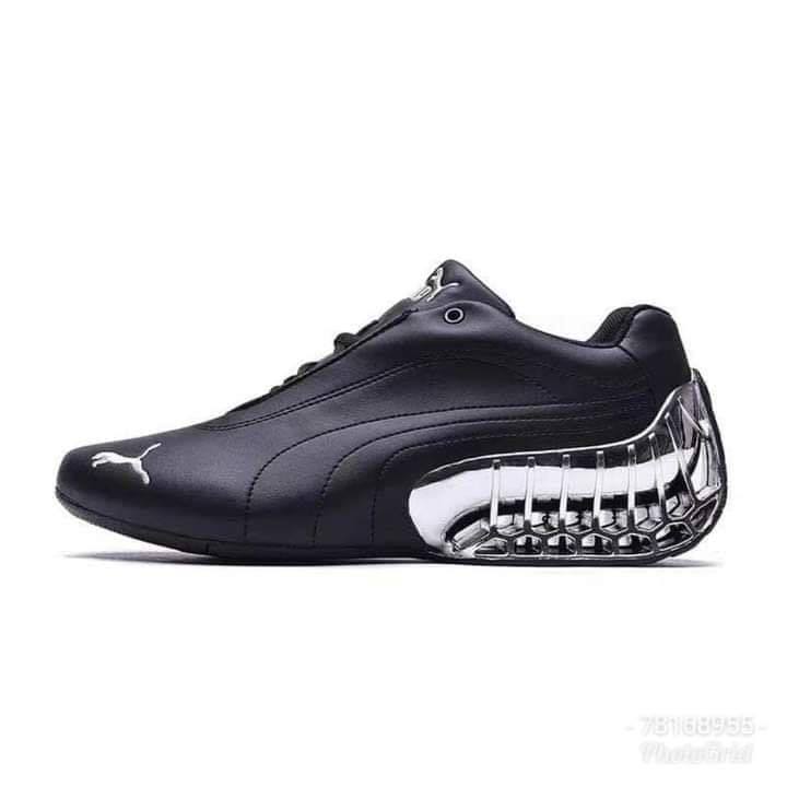 Puma — photo 3