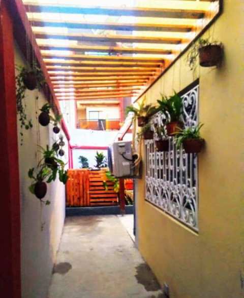 Paysagiste Décorateur — photo 6