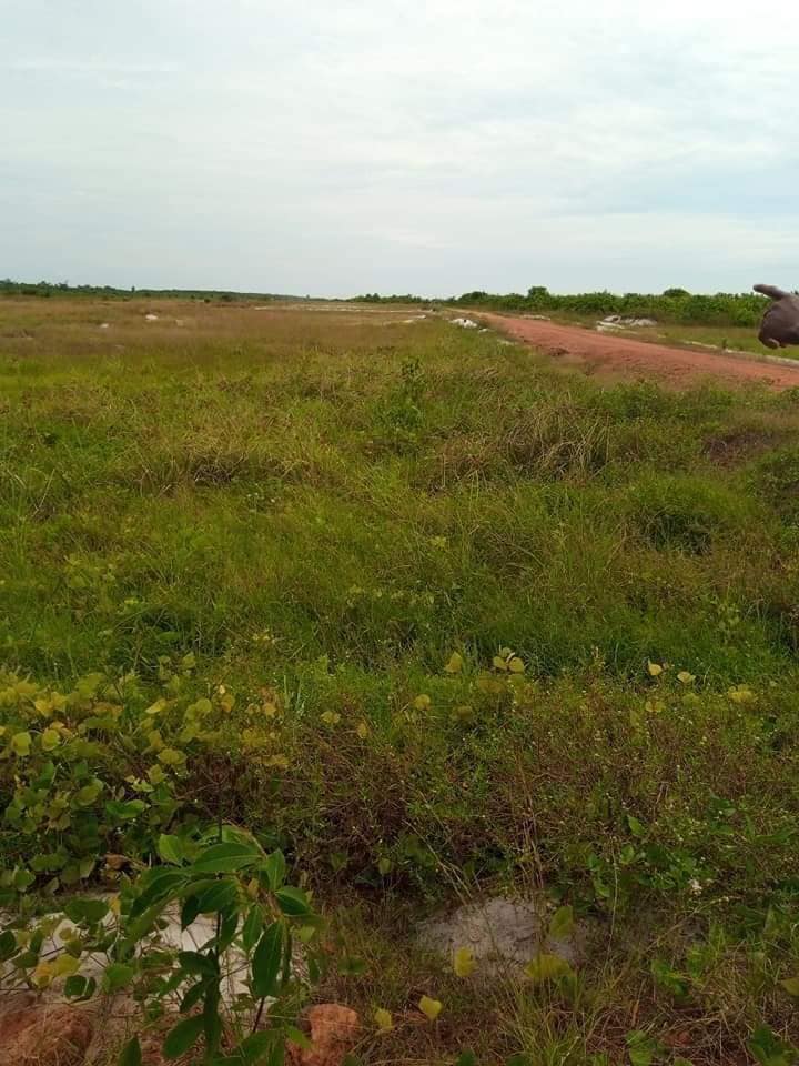 Terrain de 13 hectares — photo 2