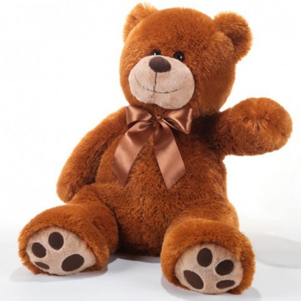 Nounours — photo 4