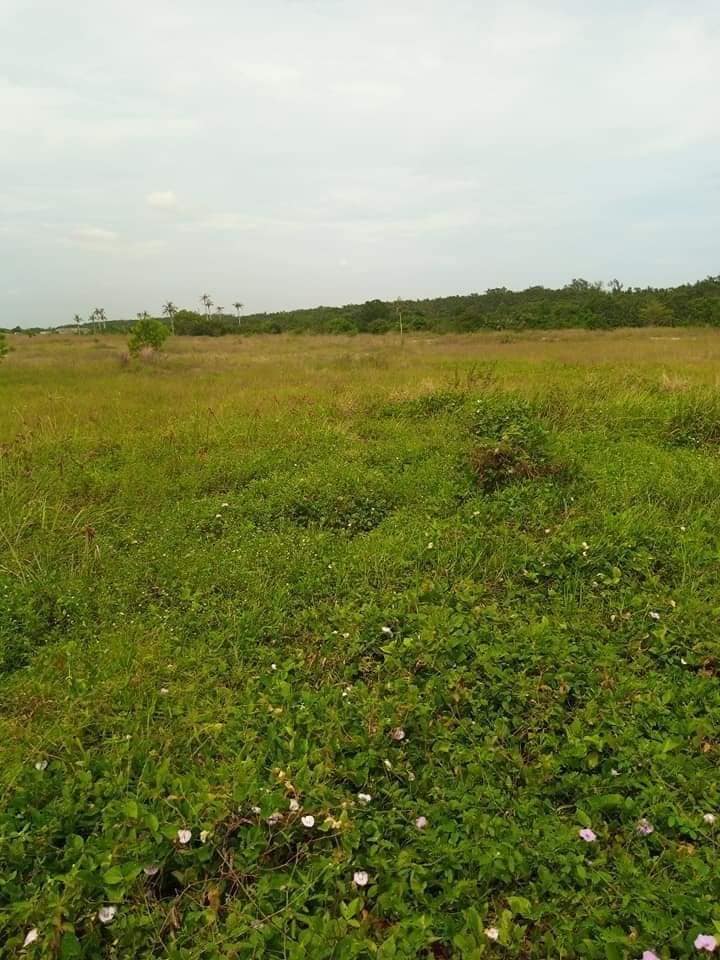 Terrain de 13 hectares