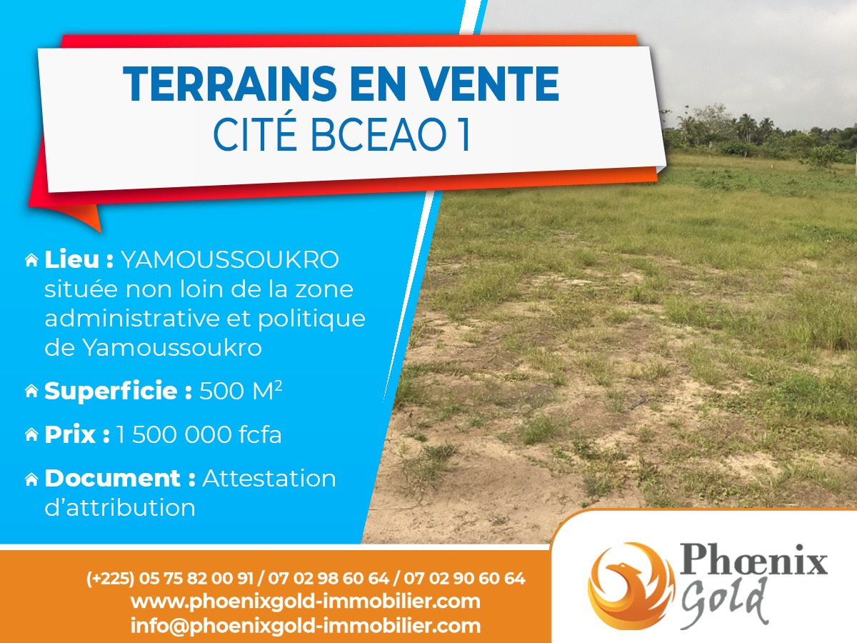 vente de terrains à Yamoussoukro — photo 2