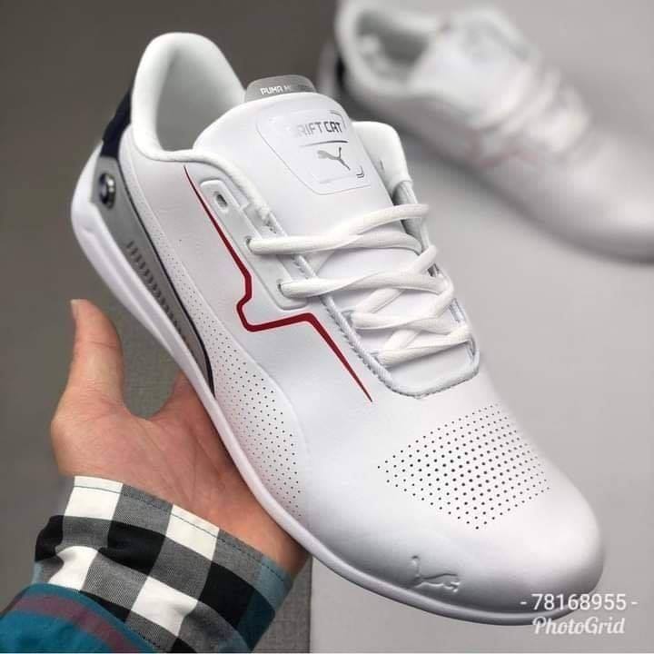 Puma — photo 10