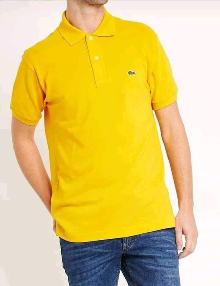 POLO LACOSTE