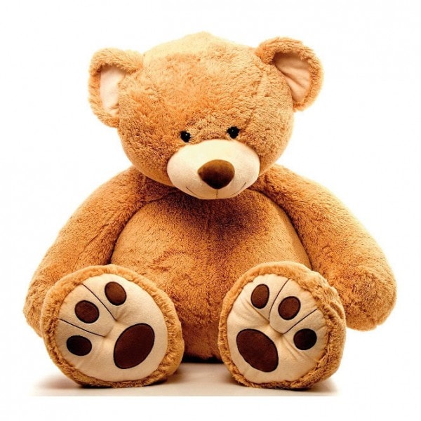 Nounours — photo 5