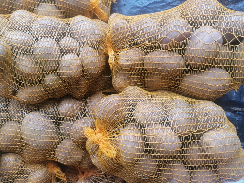 Pomme De Terre Hollande — photo 2