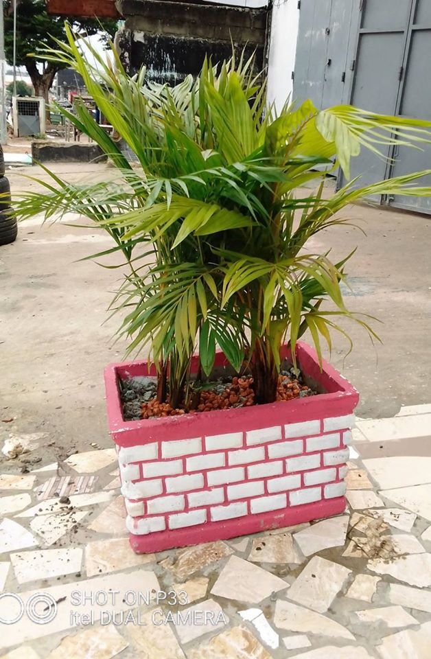 Pots de fleurs pour la DEVANTURE — photo 3