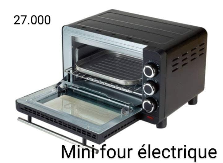 MINI FOUR ELECTRIQUE