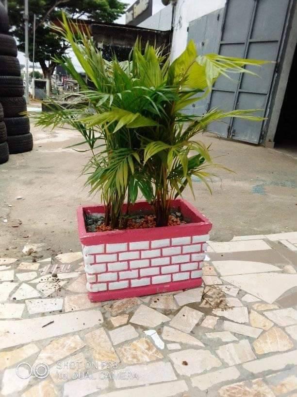 Pots de fleurs pour la DEVANTURE